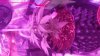 20180322_110725.jpg