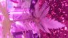 20180321_162041.jpg