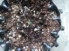 20180331_101309.jpg