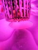 IMG_20180406_225018.jpg