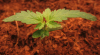 ForumRunner_20121225_021034.png
