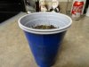 Jiffy Mix2.jpg