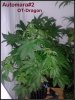 20121227_220310.jpg