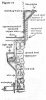 chloro fig 2.jpg chloro fig 2.jpg