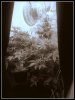camera53.jpg