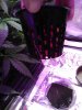 IMG_20180412_101237.jpg