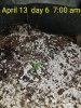 2018-04-13-07-07-08.jpg