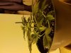 20180418_115358.jpg