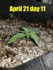 2018-04-21-08-04-38.jpg