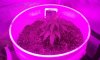 20180430_135923.jpg