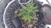 20180502_035320.jpg