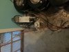 20180502_173817.jpg
