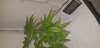 20180504_175623.jpg
