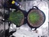 20180502_044652.jpg