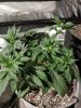 IMG_20180504_225402.jpg