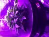 0253F2D2-A841-417D-A04B-D4D879AE9D06.jpeg