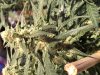 4752317B-77CA-4BE7-BA3F-B6EAA9BD5200.jpeg