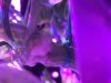 B7B88274-9415-48EB-A7D3-BB3DAB474297.jpeg