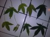 20180513_084717.jpg