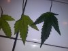 20180513_084757.jpg