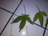 20180513_084751.jpg