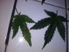 20180513_084847.jpg