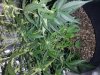 20180513_090130.jpg