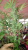 20180516_104509.jpg