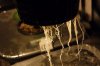 Grow0242.JPG