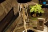 Grow0244.JPG