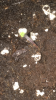 2E5435E7-E888-4729-9F76-DE6FD0C6ECFC.png