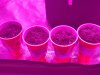20180520_105043.jpg