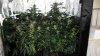 tent_week10_3-small.jpg