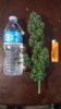 IMAG0465.jpg