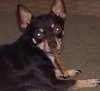 smokin.jpg