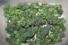 SD_harvest_3-small-small.jpg
