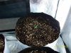 100_0782.jpg