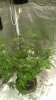 WP_20180522_22_28_20_Pro.jpg