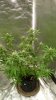WP_20180522_22_33_04_Pro.jpg