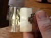20180523_155745.jpg