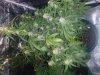 20180528_164822.jpg