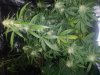 20180528_164626.jpg