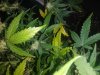 20180528_164646.jpg