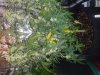20180528_164617.jpg