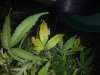 20180528_164659.jpg