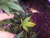 20180528_100214.jpg