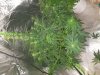 20180601_092629.jpg