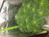 20180601_092649.jpg