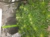 20180601_092656.jpg