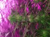 20180601_150413.jpg